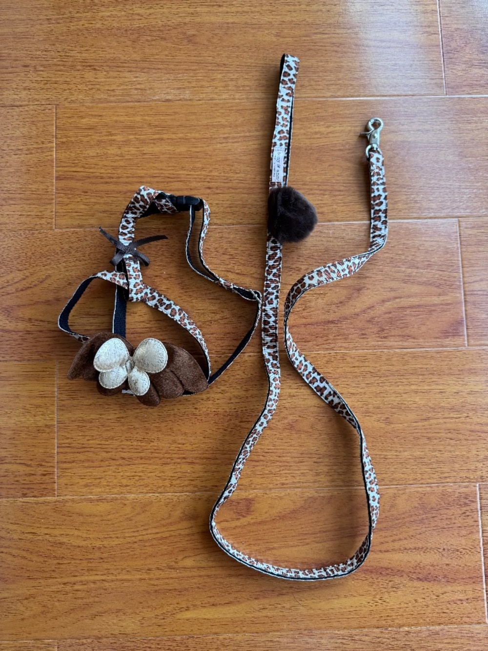Dog leash and hardness for small dog